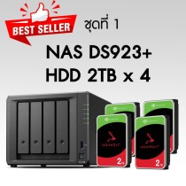 DS923+ with IronWolf 2TB x 4