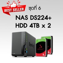 DS224+ with IronWolf 4TB x 2